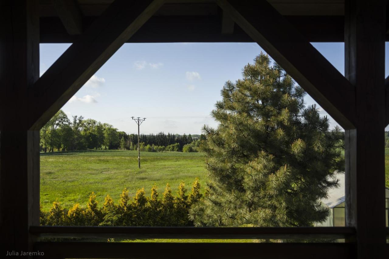 Villa Lesne Zacisze Ilawa Esterno foto