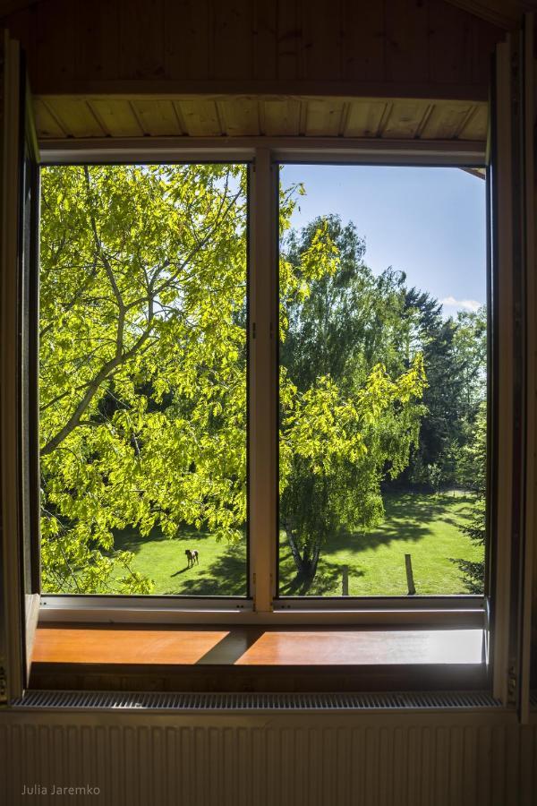 Villa Lesne Zacisze Ilawa Esterno foto