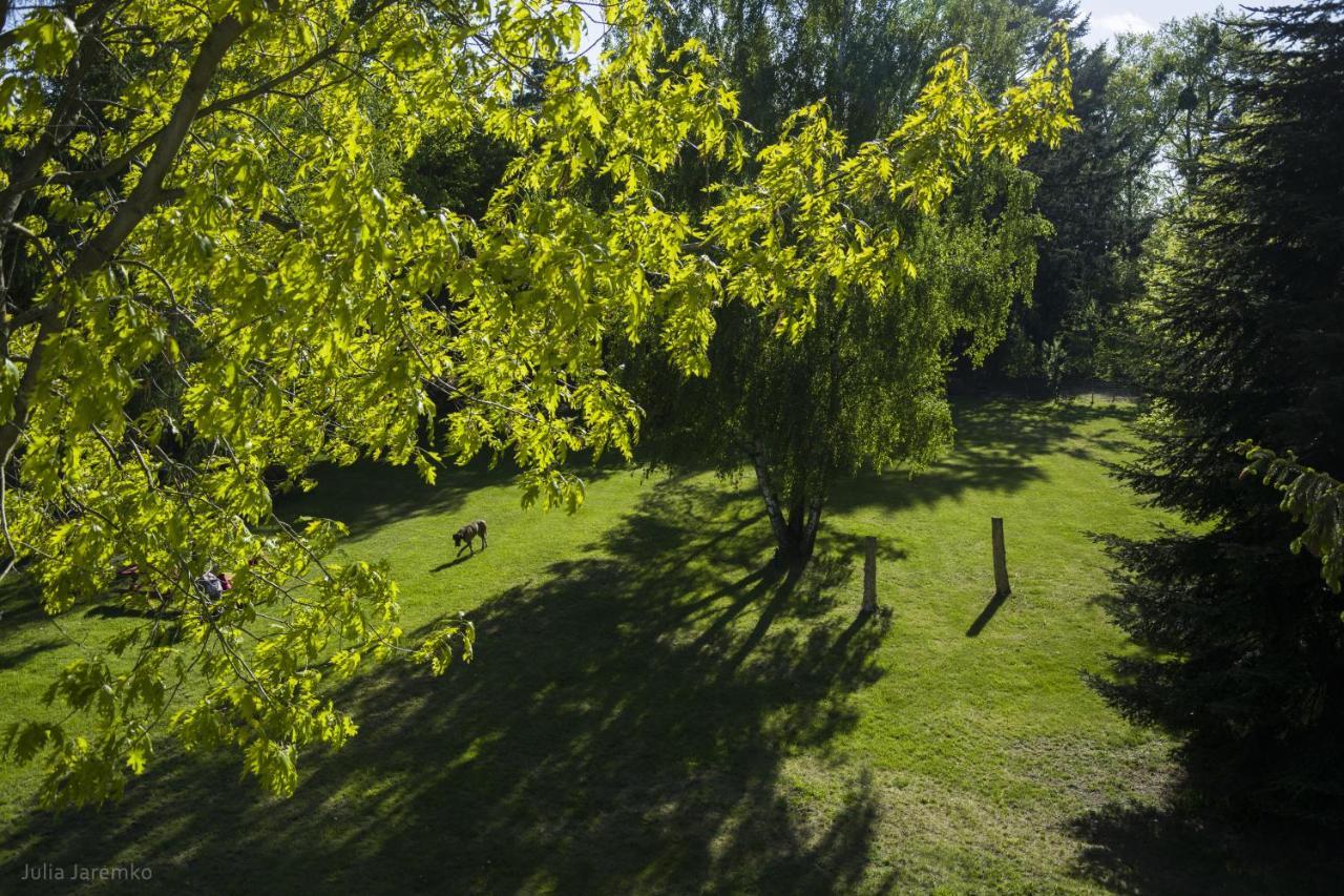 Villa Lesne Zacisze Ilawa Esterno foto